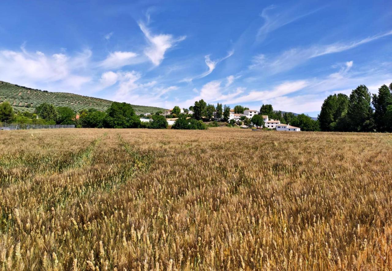 Complejo Apartamentos Rurales Molino De Abajo Ribera Baja  Bagian luar foto
