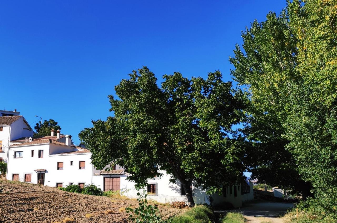 Complejo Apartamentos Rurales Molino De Abajo Ribera Baja  Bagian luar foto