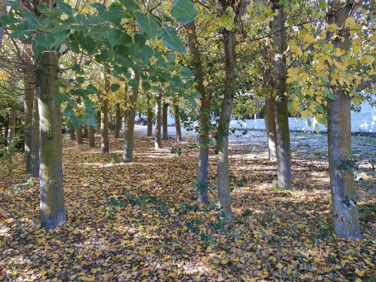 Complejo Apartamentos Rurales Molino De Abajo Ribera Baja  Bagian luar foto