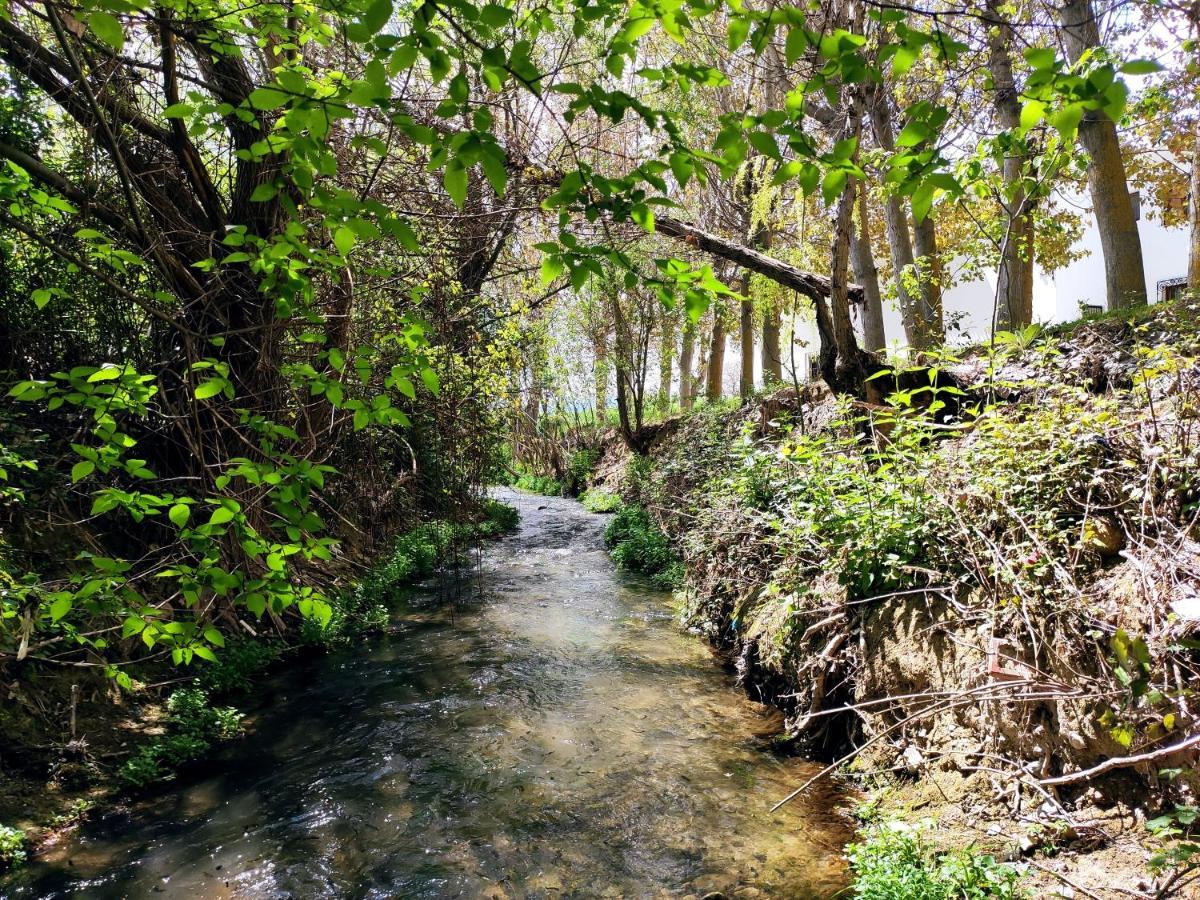 Complejo Apartamentos Rurales Molino De Abajo Ribera Baja  Bagian luar foto